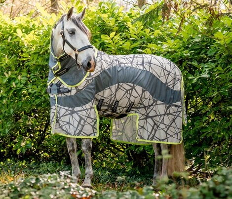 Afbeelding van een paard met de Amigo Camo Fly vliegendeken