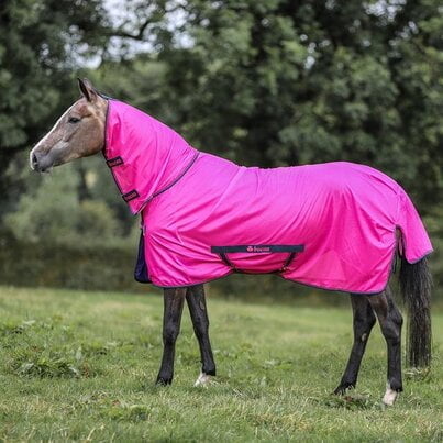 Bucas Freedom Fly Sheet roze Afbeelding van de Bucas Freedom Fly Sheet in de kleur roze