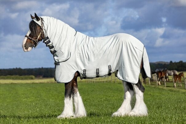 Afbeelding van een SHire met de Rambo Hoody XL vliegendeken