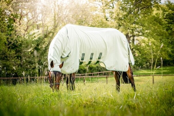 Afbeelding van een grazend paard met de Rambo Hoody vliegendeken