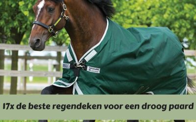 Houd je paard gegarandeerd droog met de beste regendeken