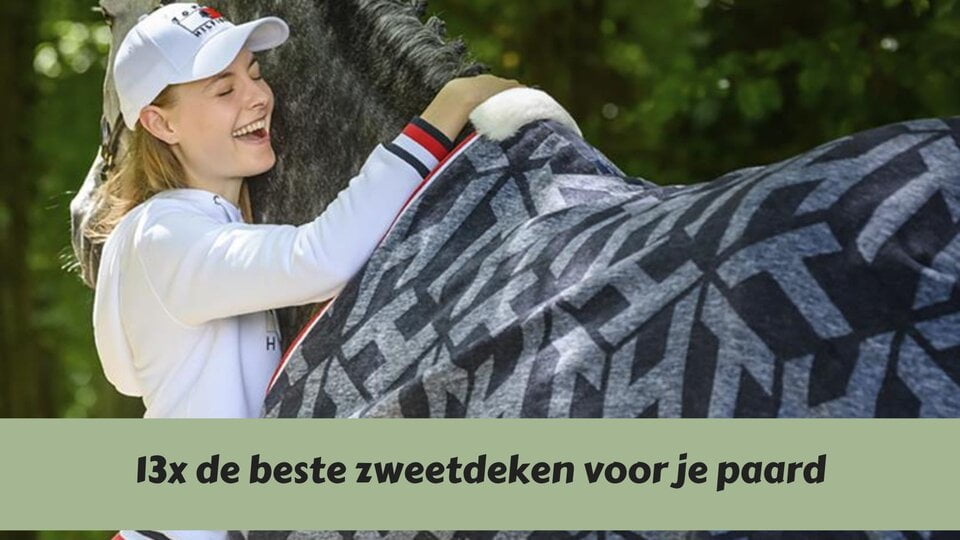 13x de beste zweetdeken om je paard snel droog te krijgen