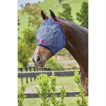 WeatherBeeta Comfitec Durable zonder oren Afbeelding van een paard met de WeatherBeeta Comfitec Durable zonder oren