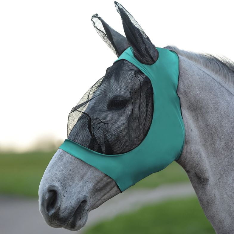 WeatherBeeta Stretch Eye turquoise-zwart Afbeelding van een paard met de WeatherBeeta Stretch Eye in de kleur turquoise