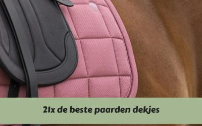 Op zoek naar het ideale dekje: Een overzicht van topkeuzes