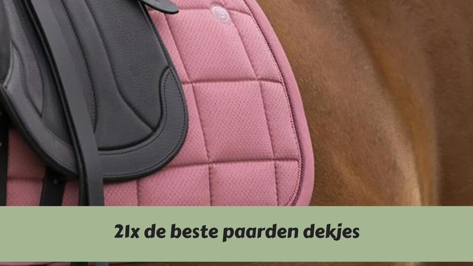 Detail foto van een paard met een zadel en paarden dekje op zijn rug