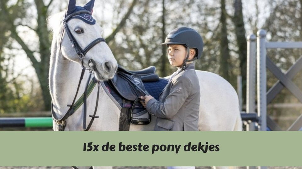 Speciaal voor je kleine viervoeter het mooiste pony dekje