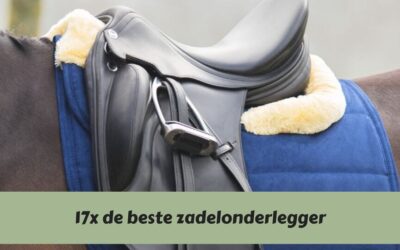 Voorkom een pijnlijke en gevoelige rug bij je paard met de beste zadelonderlegger