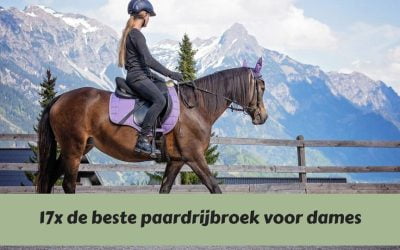 Paardrijden was nog nooit zo comfortabel: 17 favoriete paardrijbroeken voor dames