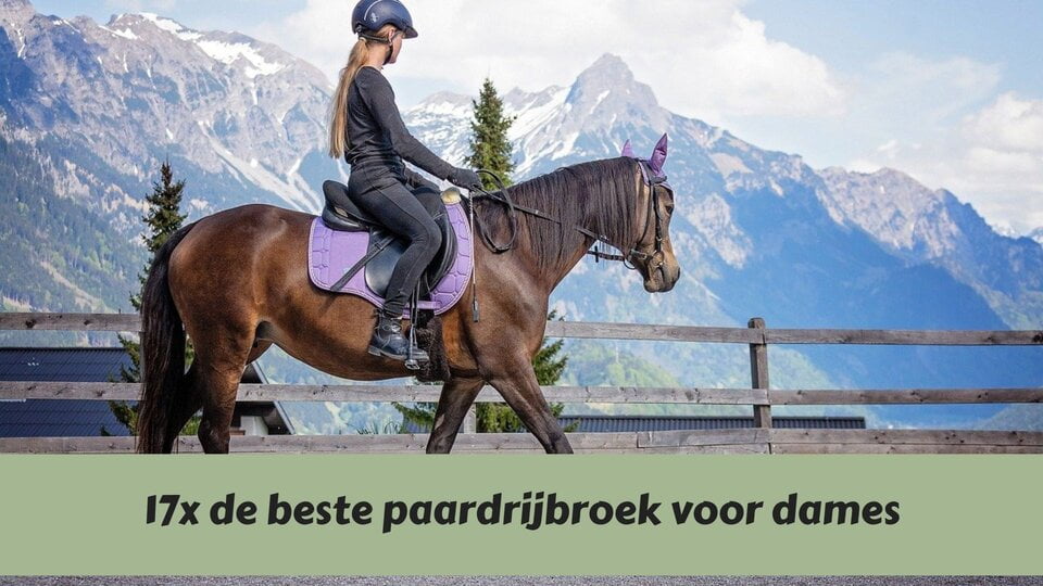 Een dames met een paardrijbroek en ruiterkleding aan die aan het rijden is op haar paard