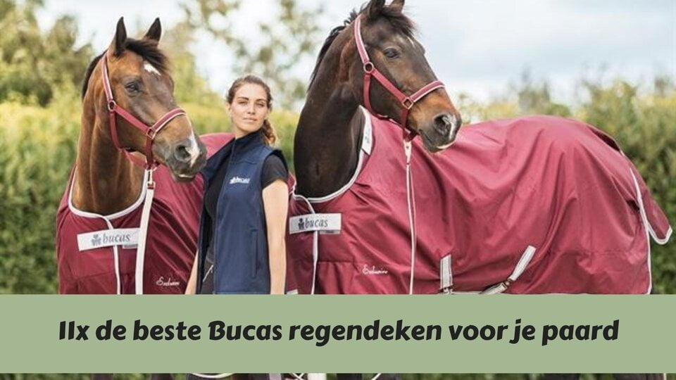 11x de beste Bucas regendeken voor je paard