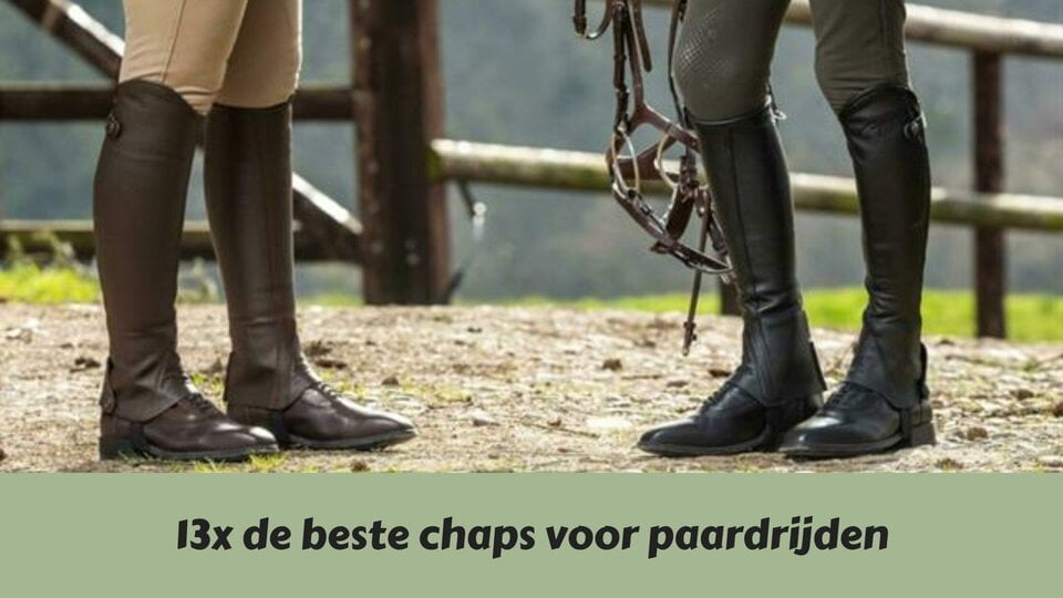 Ga voor gemak en flexibiliteit met de beste dames chaps voor paardrijden