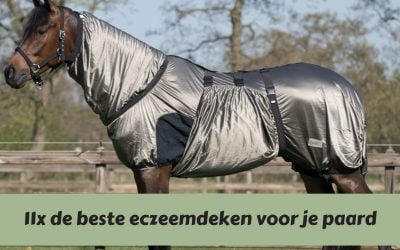 Zorg dat je paard geen jeuk krijgt met de beste eczeemdeken