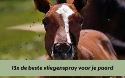 Houd vliegen en dazen op afstand met de beste vliegenspray voor je paard