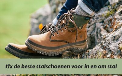 Van stal tot weide: De perfecte stalschoenen voor elke paardenklus