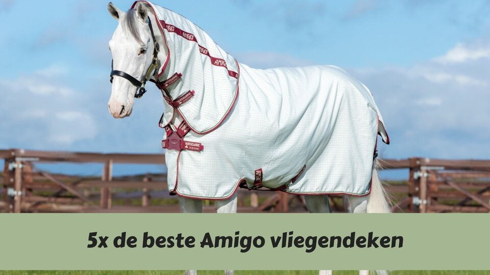 5x de beste Amigo vliegendeken voor je paard