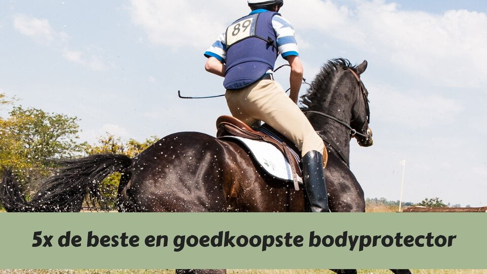 Bescherm je lijf tijdens het paardrijden met de beste bodyprotector